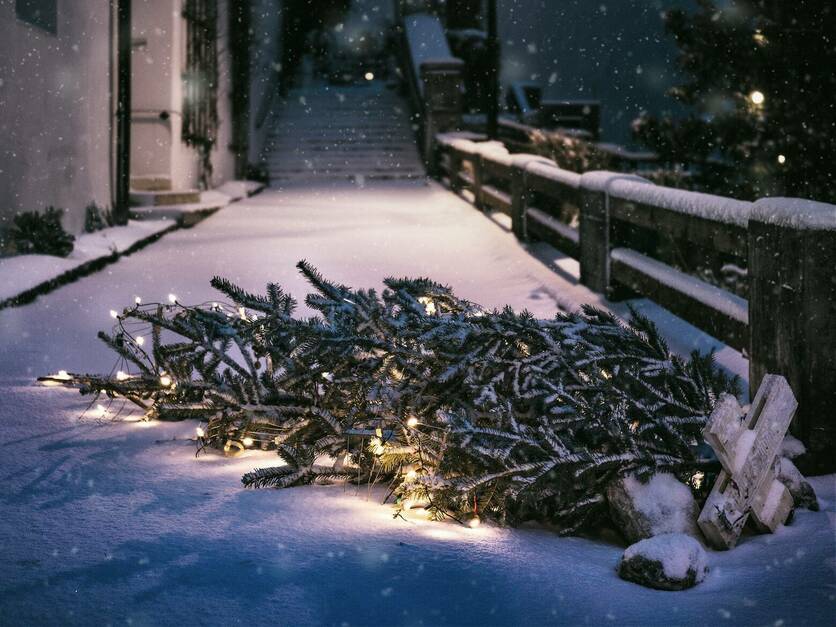 Weihnachtsbaum zur Entsorgung