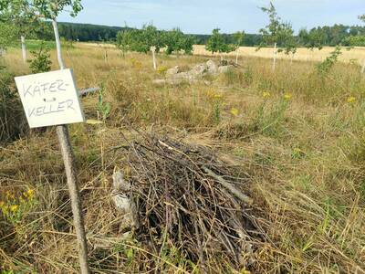 Was für den flüchtigen Blick nur ein Haufen Äste ist, stellt den Lebensraum für zahlreiche Insekten dar. Hier im Permakulturgarten Großenseeebach liebevoll auch "Käferkeller" genannt. Dahinter befinden sich Alpinum und Sandarium.