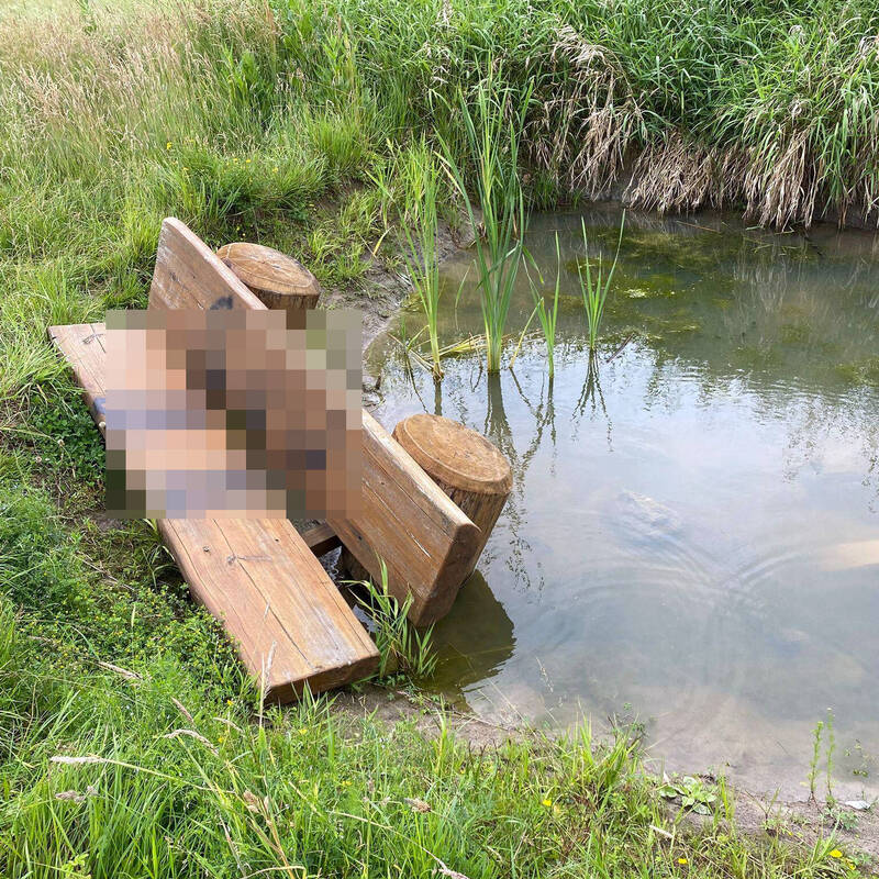 Bank im Teich am Permakulturgarten