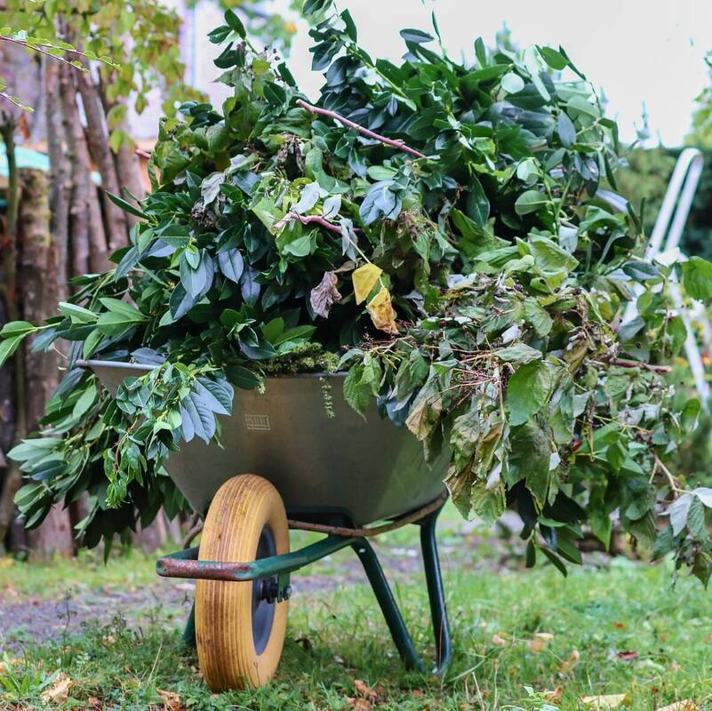 Grüngut Gartenabfall Symbolbild