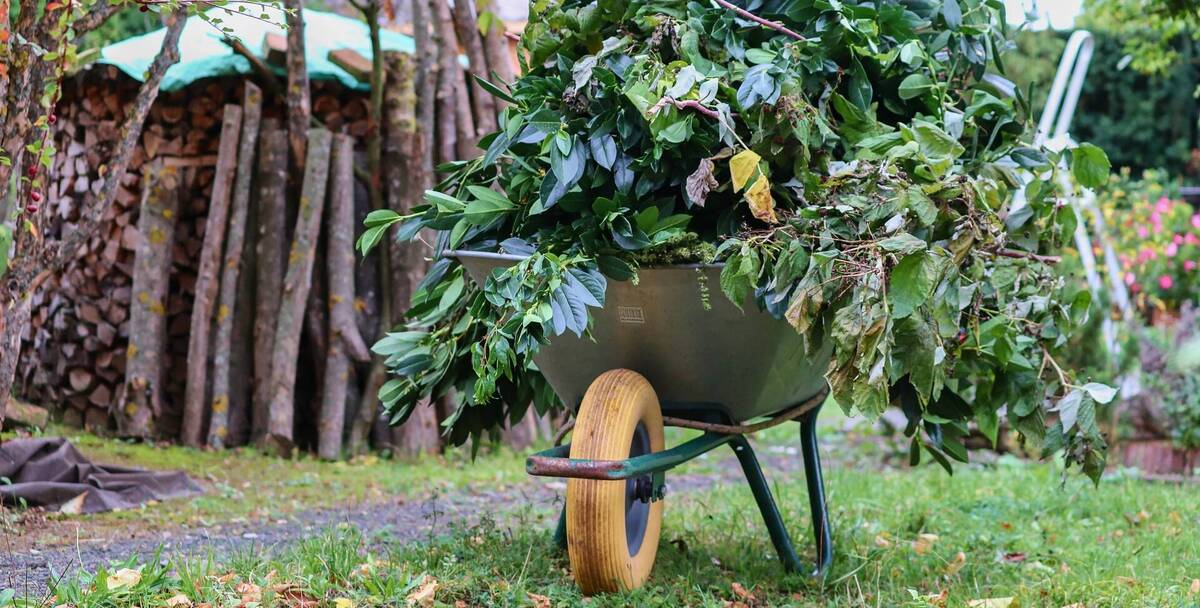 Grüngut Gartenabfall Symbolbild