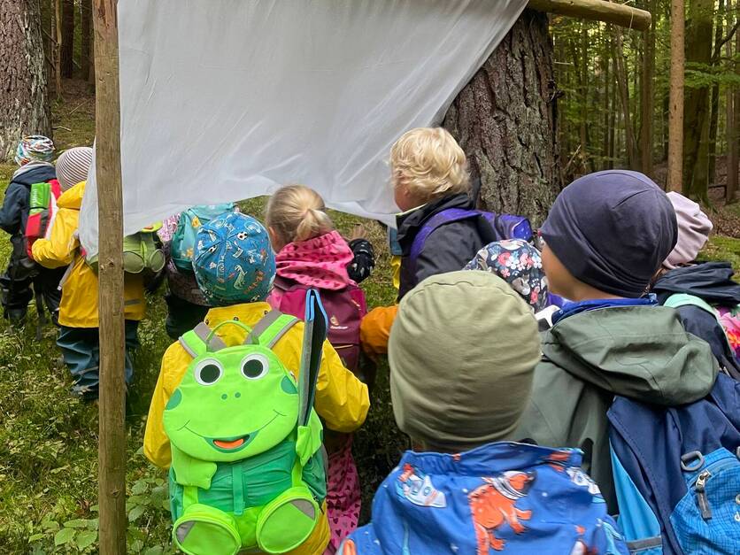 Waldwochen 2025 in der KiTa Seebachwichtel