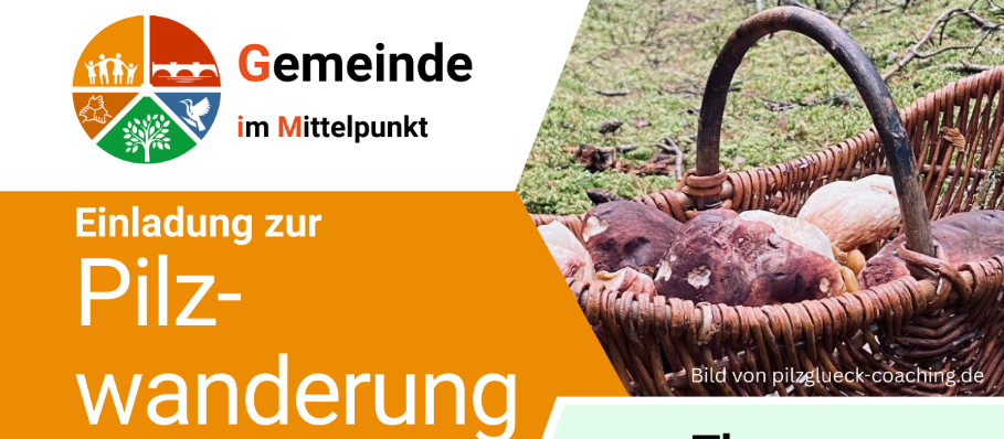 Pilzwanderung 24.10.2025
