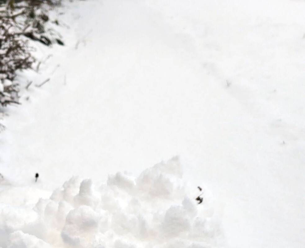 Schnee räumen (Symbolbild)