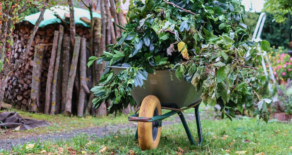Grüngut Gartenabfall Symbolbild