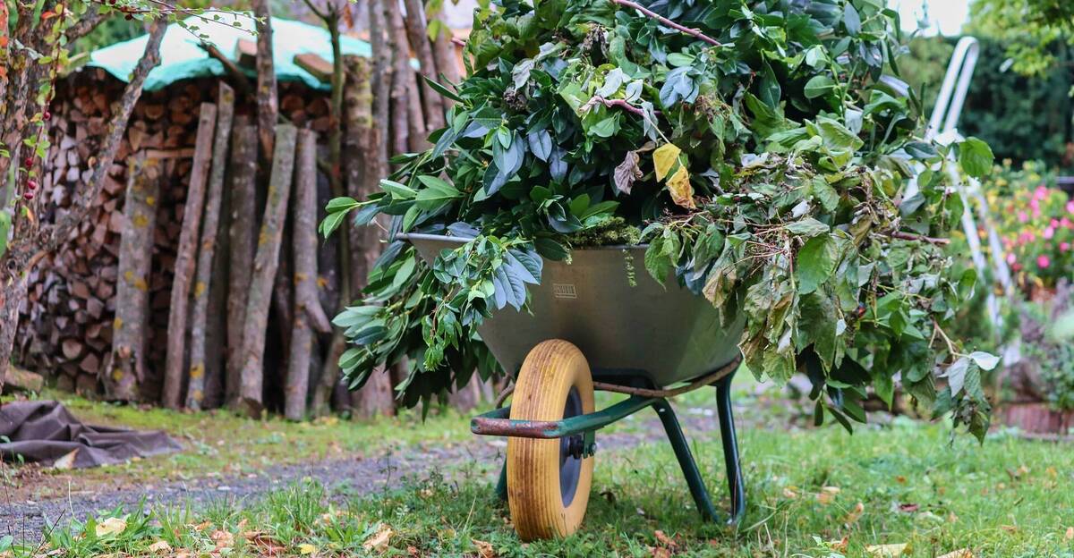 Grüngut Gartenabfall Symbolbild