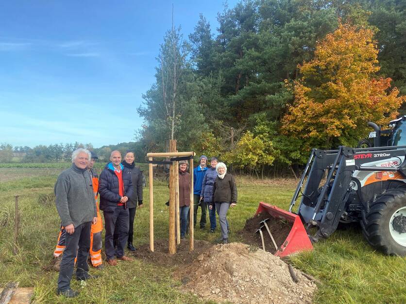 Pflanzung Baum des Jahres 2023 in Großenseebach