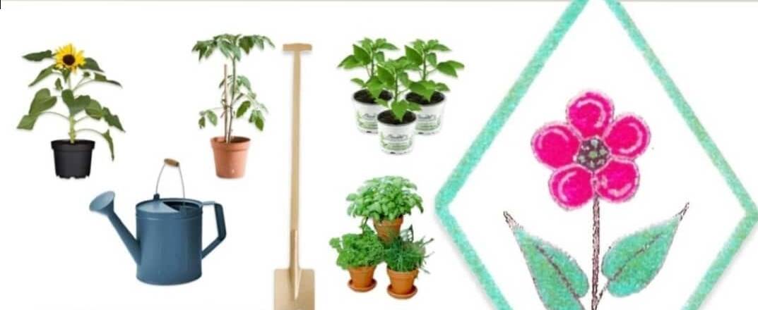 Pflanzentauschböse HGV 25.04.26 - Plakat