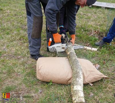 Präzise vorbereitet: Die Begrenzungselemente werden zugesägt und passgenau für den Barfußpfad vorbereitet.