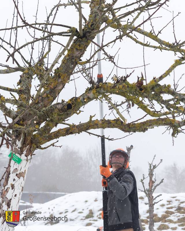 Arbeitseinsatz im Parmakulturgarten am 07.02.2026 - Obstbaumschnitt