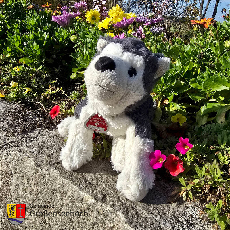 Hundsteuermarke Großenseebach