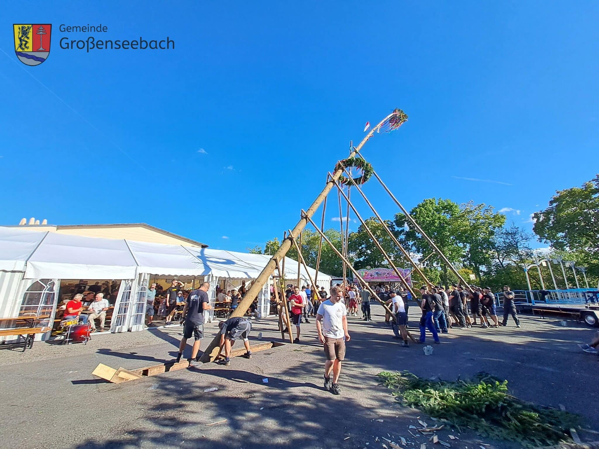 Die Kerwasburschen stellen den diesjährigen Kerwasbaum auf.