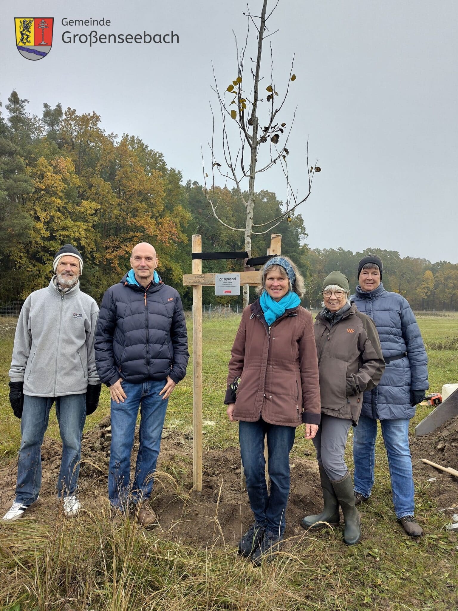 Die Zitterpappel, Baum des Jahres 2026, wurde auf der Streuobstwiese Am Kiefernwald in Großenseebach gepflanzt.